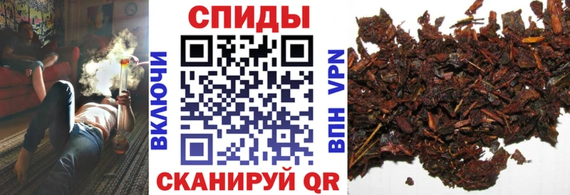Купить где  Лукоянов  Бутират Butirat 