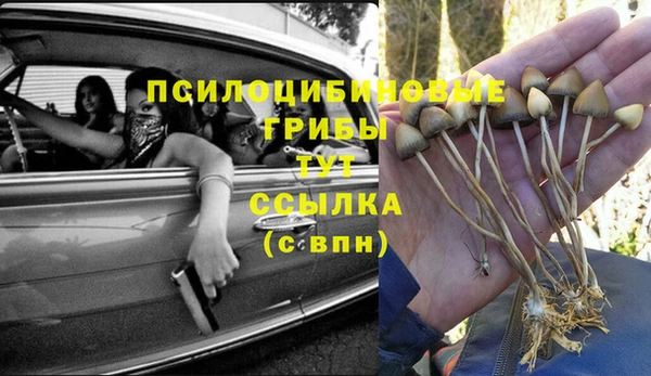 Альфа ПВП Козельск