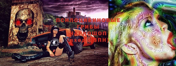 прущий лед Кодинск