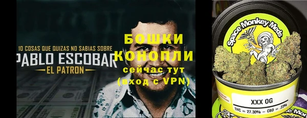 прущий лед Кодинск