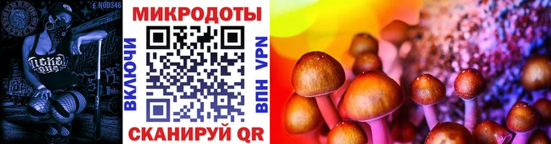 Галлюциногенные грибы MAGIC MUSHROOMS  Купить закладки  Лукоянов 